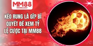 Kèo Rung Là Gì? Bí Quyết Để Xem Tỷ Lệ Cược Tại MM88